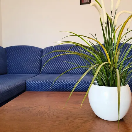 Jelena Apartamento *