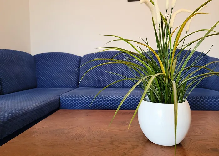 Jelena Апартаменты *